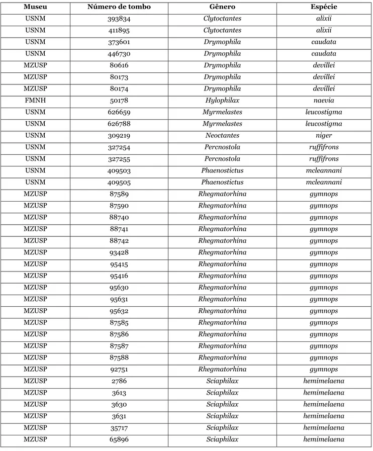 Tabela 1: Lista de espécimes de grupos externos examinados para determinação de caracteres morfológicos