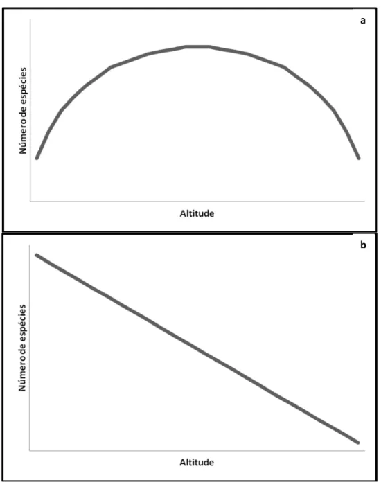 Figura 1: Curvas espécies-altitude esperadas (a) pelo mid-domain effect, no qual o modelo prevê um pico de riqueza na região intermediária do gradiente, e (b) pelo padrão do declínio monotônico da riqueza à medida que o gradiente altitudinal aumenta.