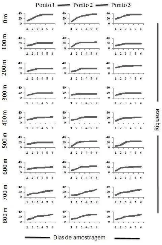 Figura 3: Curvas de acumulação de espécies de cada Ponto de Escuta e de cada cota altitudinal.