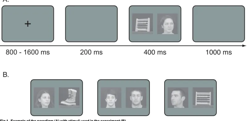 Fig 1. Example of the paradigm (A) with stimuli used in the experiment (B).
