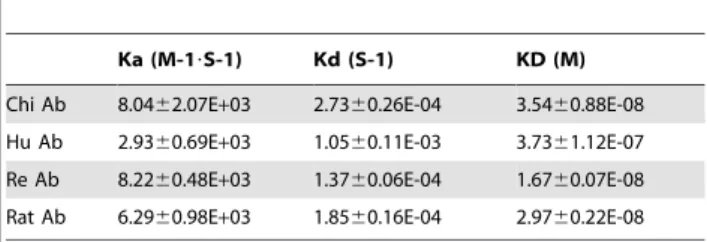 Figure 4. Binding characteristics of the chimeric (Chi), humanized (Hu) and refined (Re) mAbs