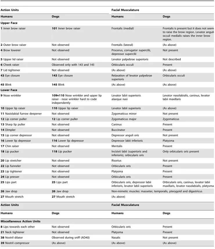 Table 1. Comparison of action units (AUs) and the underlying facial muscles in humans [20] and dogs.