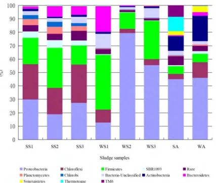 Fig.  7:  Microorganism  distribution  at  the  phylum  level  in  sludge  sampled  from three  parallel  SBRs  and ABR  in  summer  and  winter