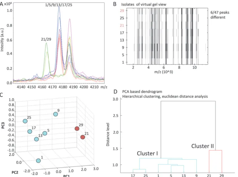 Fig 1. MALDI-TOF MS based typing. A. Representative example of mass spectrum differences between ESBL E 