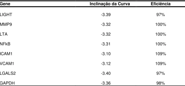 Tabela 5 - Valores de inclinação da curva e eficiência dos ensaios de RT-PCR em tempo real