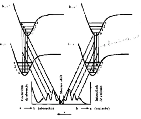 Figura 2.6: Processo de absorção e emissão entre estados moleculares com acoplamento elétron-fônon.