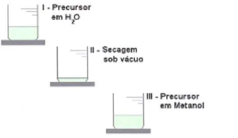 Figura 3.1: Rota de preparação da solução aquosa do precursor do PPVantes da conversão térmica.