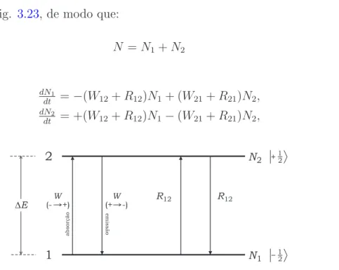Fig. 3.23. Sistema de dois n´ıveis, S = 1 2 , com transi¸c˜oes de microonda W 12 (absor¸c˜ao) e W 21