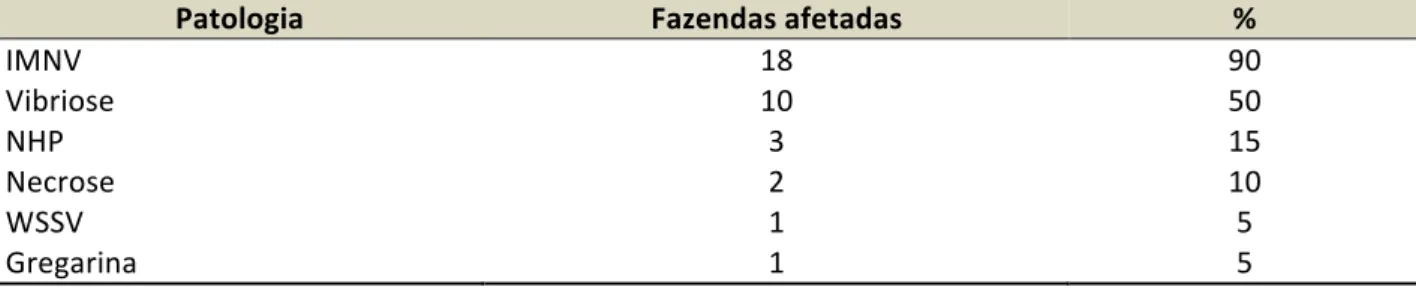 Tabela   06   –   Patologias   que   afetam   a   produção   de   camarão   no   Vale   do   Açu,   com   número   e   porcentual   de   fazendas    afetadas   por   cada   patologia