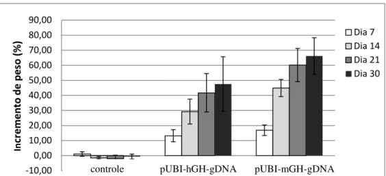 Fig. 13: Porcentagem de incremento de peso após injeção hidrodinâmica dos plasmídeos  pUBI-mGH-gDNA  e  pUBI-hGH-gDNA,  em  camundongos  normais  da  linhagem  C57BL6