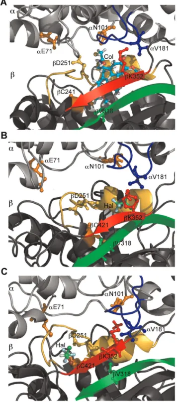 Figure 6. Microtubule polymerization assays. Black circle – General Tubulin Buffer (80 mM PIPES, MgCl 2 , 0.5 mM EGTA, pH 6.9)