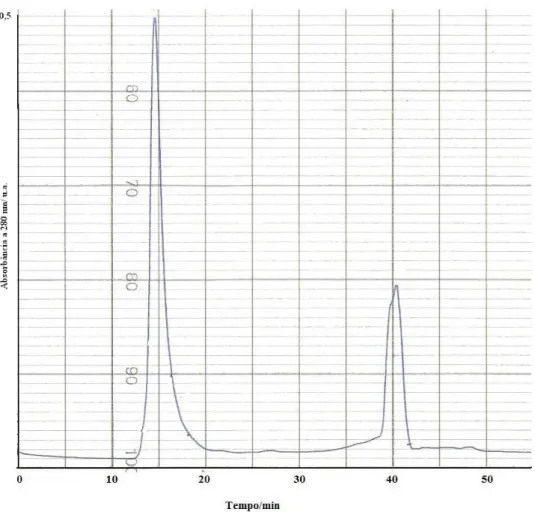 Figura 11. Cromatografia de exclusão molecular de MRJP1 em tampão Tris- HCl 0,05 M, pH 7,5  com  Gly  2  M