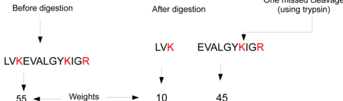 Figure 1.3: Digestion types.