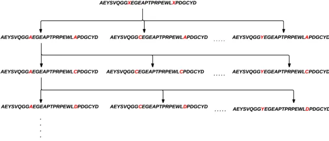 Figure 3.1 illustrates the Xs combinations for a sequence contains two Xs.