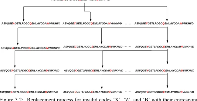 Figure 3.2: Replacement process for invalid codes ‘X’, ‘Z’, and ‘B’ with their corresponding standard amino acid codes to get valid sequences