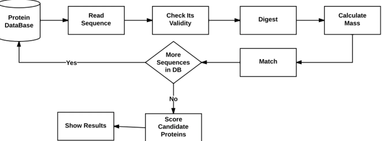 Figure 3.3: Processing the database proteins one-by-one.