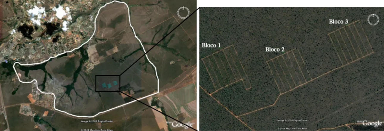 Figura 3.2. Mapa com a localização dos blocos submetidos às intervenções na FAL/UnB. 