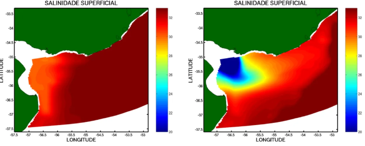 Figure 3.4: Campos de salinidade na superfície próximo da desembocadura do Prata, obtidos do modelo de larga escala (esquerda) e após o experimento de um ano (direita).