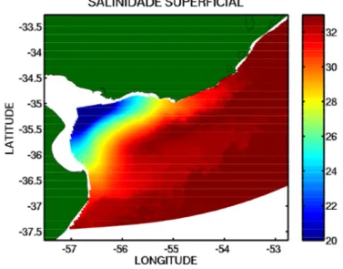 Figure 3.7: Campo de salinidade na superfície, próximo da desembocadura do Prata, ao final dos experimentos de preparação de condições iniciais.