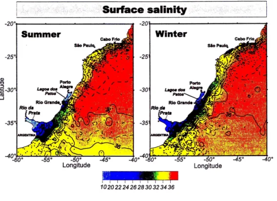 Figure 4.2: Campos médios históricos de salinidade durante verão e inverno (fonte: Piola et al