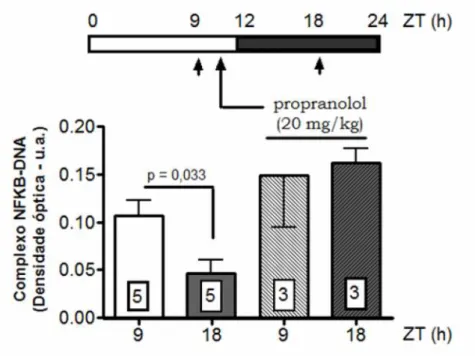 Figura 10 – Propranolol  reverte  os  baixos  níveis  de  NFKB  encontrados  no  meio  da  fase  de escuro