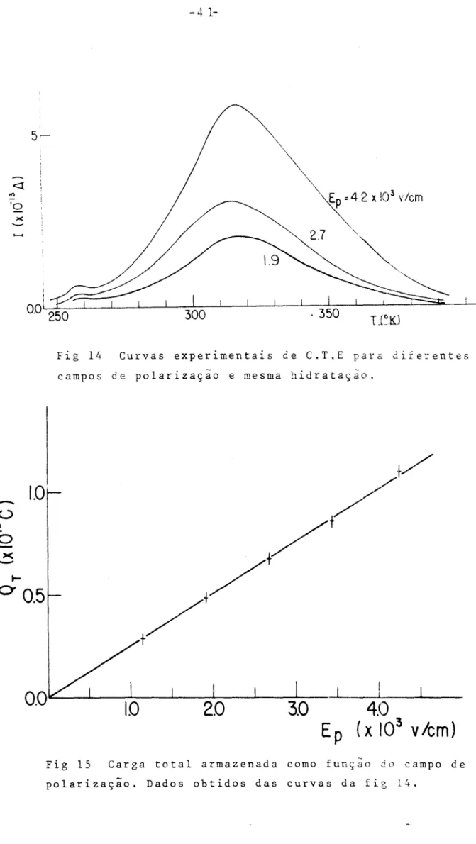 Fig 14 Curvas experimentais de C.T.E para diferentes campos de polarização e mesma hidrataçào.