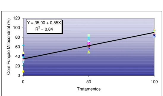 Figura 8 - Função mitocondrial, verificada pelo MitoTracker Green FM, em espermatozóides  bovinos  submetidos  aos  tratamentos  T0  (Sêmen  fresco:Sêmen  submetido  a  flash  frozen, 0:100), T50 (Sêmen fresco:Sêmen submetido a flash frozen, 50:50) e T100 