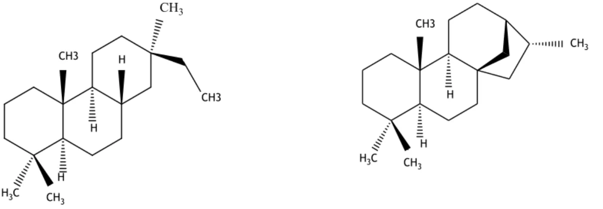 Figura 4 – Estrutura química de 4 cembranolidas 