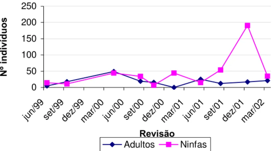 Gráfico 2 - Variação do número de adultos e ninfas de P. megistus, coletados vivos,  segundo revisão, no GE Sítio Carandá, Araraquara-SP, no período de 25/11/98 a  19/03/02