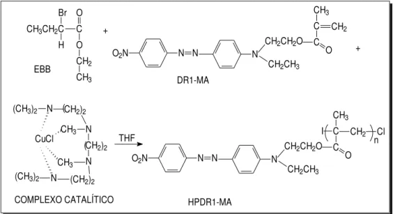 Figura 13 - Esquema da síntese do homopolímero HPDR1-MA via ATRP 