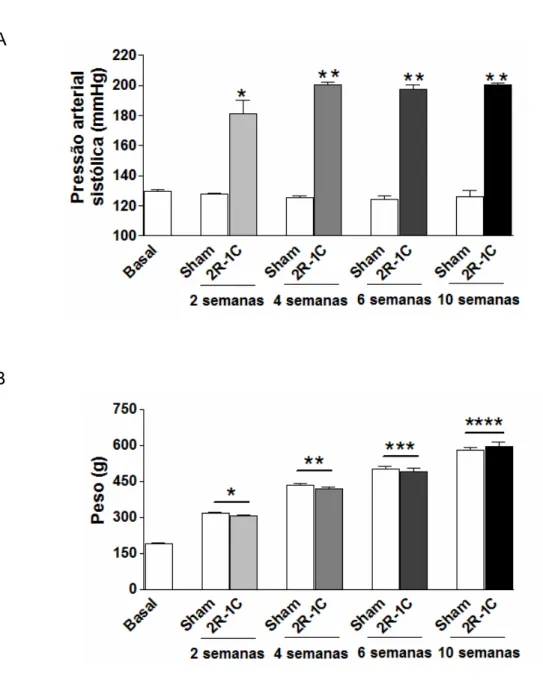Figura 4 – Pressão arterial sistólica e peso corporal dos animais durante as 10  semanas do estudo