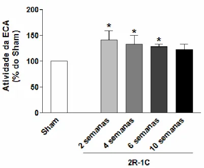 Figura 5 – Atividade da enzima conversora de angiotensina (ECA) no plasma dos  animais durante as 10 semanas de estudo