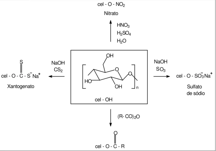 Figura 3:  Representação esquemática da modificação química da celulose para obtenção  de derivados.