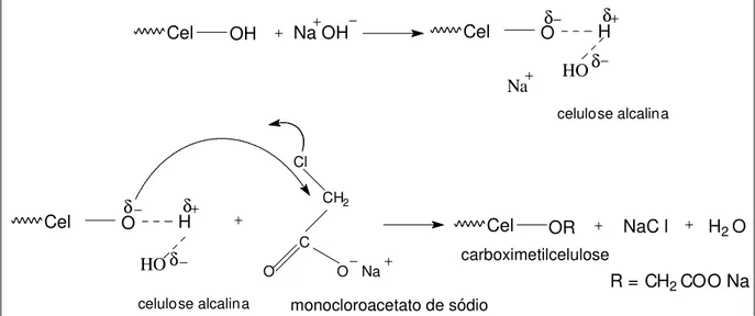 Figura 5: Representação esquemática da reação de carboximetilação da celulose. 