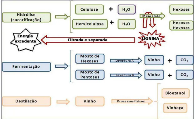 Figura  6:  Esquema  das  3  etapas  de  produção  do  bioetanol  a  partir  de  materiais  celulósicos