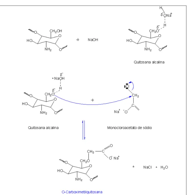 Figura  12:  Representação  esquemática  da  reação  de  O-carboximetilação  da  quitosana 