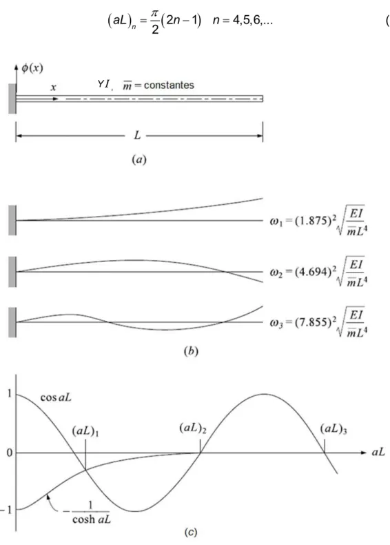 Figura 2.23 - Análise de vibrações livres em uma viga engastada: (a) Propriedades da viga; (b)  primeiros três modos de vibração; (c) termos da equação de freqüência (Adaptado de Clough e  Penzien, 2003)