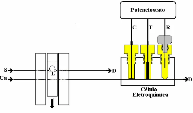 Figura 6 -  Diagrama esquemático do sistema de fluxo utilizado. S, solução contendo o analito; Ca,  solução  carregadora;  D,  descarte;  R,  T,  C,  eletrodos  de  referência  (Ag/AgCl),  trabalho  (compósito  60%, grafite, m/m) e contra-eletrodo (disco d