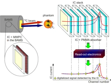 Figure 2.11: Sketch of the experimental set-up including the IC stack (Rinaldi et al., 2013).