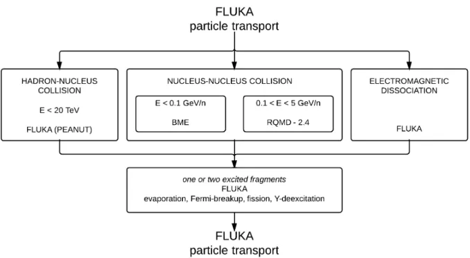 Figure 3.2: Sketch of the FLUKA models for nuclear interactions relevant for heavy ion beam therapy applications (www.fluka.org).
