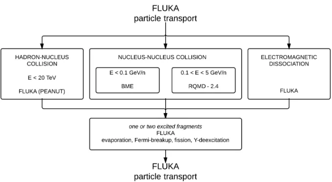 Figure 3.2: Sketch of the FLUKA models for nuclear interactions relevant for heavy ion beam therapy applications (www.fluka.org).