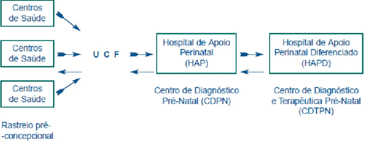 Figura 2.2 – Estrutura da rede de referenciação materno-infantil 