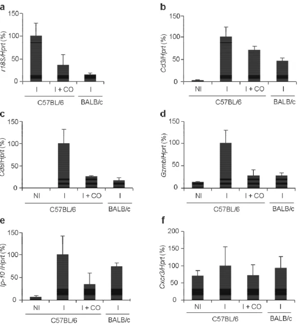 Figure  3  CO  inhalation  inhibits  parasite  accumulation/sequestration  and  neuroinflammation