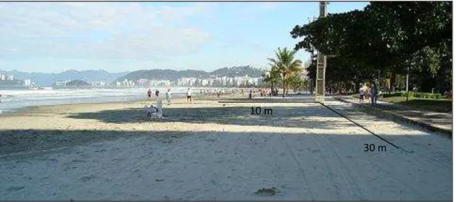 Figura 4  –  Área amostral com 10 m (ao largo) x 30 m (ao longo), demarcada na região do pós- pós-praia, para a amostragem com os diferentes trados na praia de Embaré, Enseada de Santos