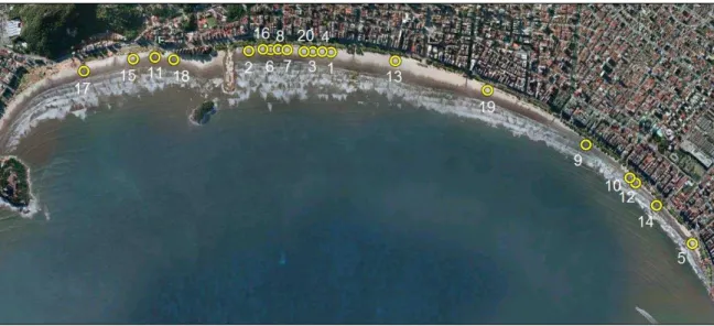 Figura 6  –  Localização dos transectos amostrados ao longo de todas as praias da Enseada de  Santos (Fonte: Google Earth)