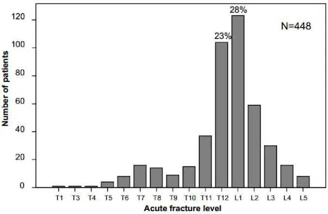 Gráfico 3.3  - Distribuição de fraturas agudas no segmento vertebral localizado no segmento torácio-lombar de 448  pacientes (SUZUKI, 2009)