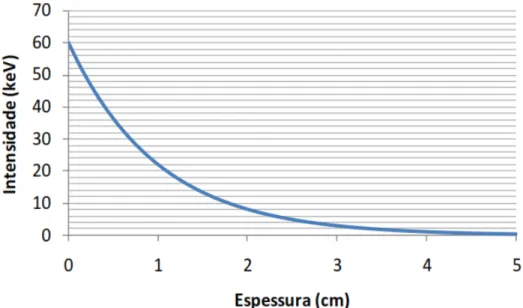 Figura 3.3 - Atenuação de raios-X por uma placa de chumbo em função da espessura (ARGENTA, 2011).