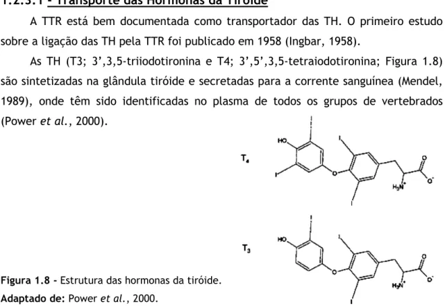 Figura 1.8 - Estrutura das hormonas da tiróide.  