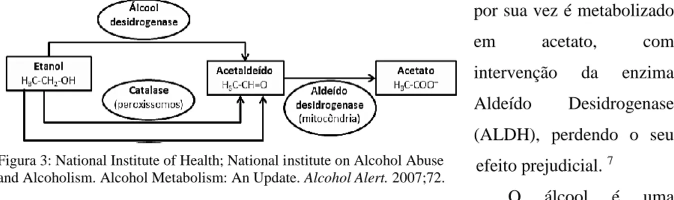 Figura 3: National Institute of Health; National institute on Alcohol Abuse  and Alcoholism