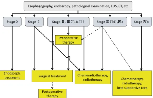 Figura 5: Shimoda T. Japanese classification of esophageal cancer, the 10th edition-Pathological part  Nihon rinsho
